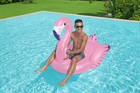 Flyleksak, Bestway pool (flamingo)
