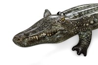 Luftmadrass, Bestway pool (krokodil)