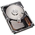IBM - 73GB hotswap 3.5inch 10K U320