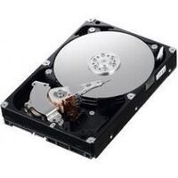 IBM - ExS/146G 15K 6Gbps 2.5"SlimHSH