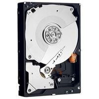 Dell - HD 3T NL6 7.2K 3.5 H-MKP E/C